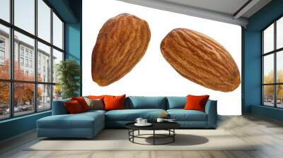 Almonds isolated closeup without shell as package design element collection on white background. Nut macro. Almond kernels. Full depth of field. Wall mural