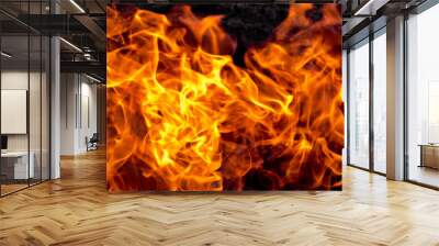 Burning fire close up. Bright orange and red flames on a dark background. Open flame heating. Problems with heating and gas. Wall mural