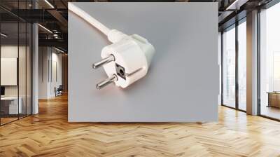 EU plug on a gray background. Home electrician. Close-up. Full focus. copy space. Wall mural