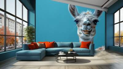 Close-up of a smiling llama with a blue background, perfect for quirky and fun designs. Wall mural