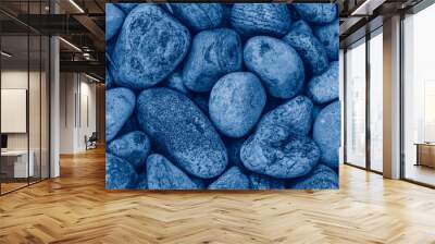 Closeup macro of big huge large blue stones rocks pebbles lying on ground. Natural eco environmental background texture. View from top above. Toned with classic blue 2020 colour. Wall mural