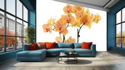 beautiful yellow orchid Wall mural