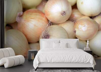 sweet onion Wall mural