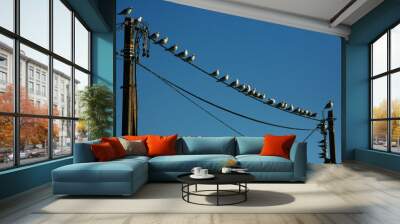 power lines on a blue sky Wall mural