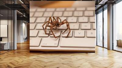 big brown spider on a white keyboard Wall mural