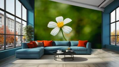 Selective focus of beautiful colorful flowers with summer bokeh background.vintage color style. Wall mural