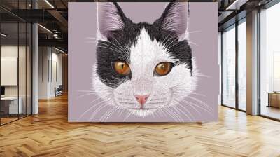 Cat animal cute black and white face. Illustrated funny kitten head portrait. Realistic fur portrait of kitty isolated on grey background. Wall mural