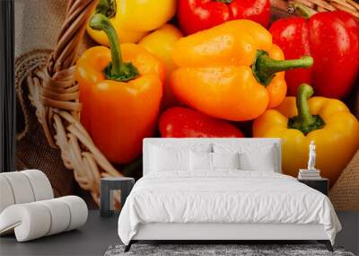 Freshly harvested red and yellow paprika Wall mural