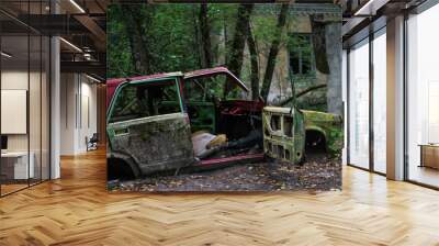 Abandoned car in the middel of the nature on Chernobyl disaster zone.  Wall mural