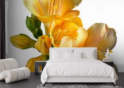 freesia isolated on white Wall mural