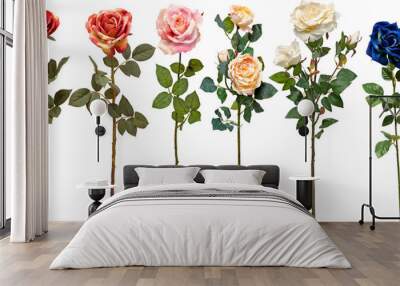 set of flowers on transparent background Wall mural