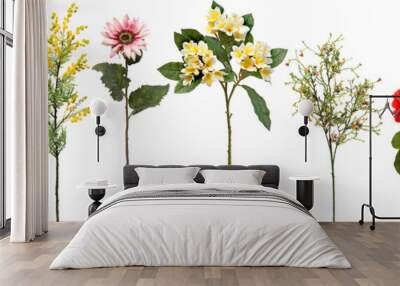 set of flowers on transparent background Wall mural