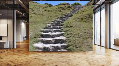 Stone steps cut into a grassy bank lead up the hillside to the summit. Wall mural