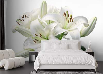 white lily flower Wall mural