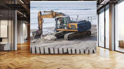 Grue en action sur la plage de Lacanau Wall mural