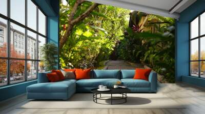 Beautiful green tropical garden outdoor veranda with ecological plants surrounded nature in Asia Wall mural