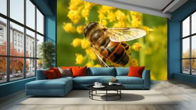 the fast fly 2 Wall mural