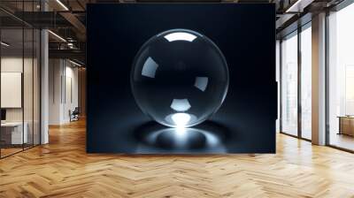 Crystal glass ball sphere transparent isolated on dark background isolated with white highlights, png Wall mural