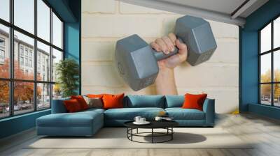 A person lifts a gray dumbbell with one hand against a textured wall for strength training Wall mural