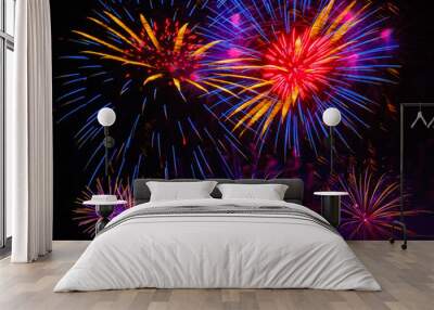 Colorful fireworks in night sky Wall mural