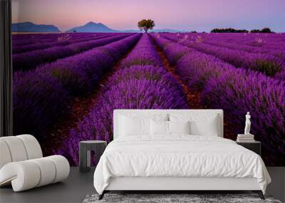 Tree in lavender field at sunrise in Provence, France Wall mural