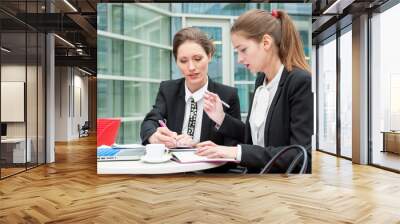 two young business women Wall mural