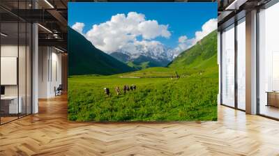 Young hikers trekking in Svaneti Wall mural