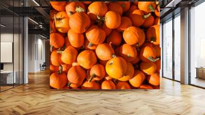 Halloween, many little pumpkins top view background. view from above Wall mural