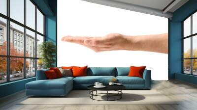 Hand Wall mural