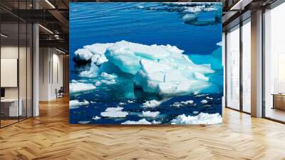 Ice pieces on the water in Arctic Wall mural