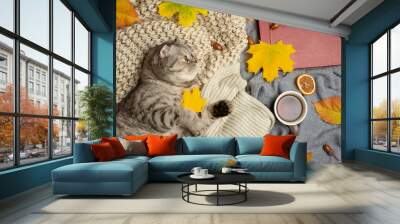 lazy cat sleeping. conception of heat, rest, winter, autumn, comfort Wall mural