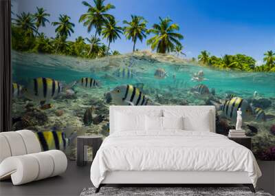 Underwater Scene With Reef And Tropical Fish Wall mural