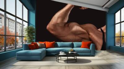 Close up of man's arm showing biceps Wall mural