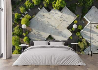 Photo of the roof of a large house and the landscape top view, texture for design Wall mural