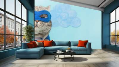 superhero, scotch whiskey with a blue cloak and mask. The concept of a superhero, super cat, leader.  Macho and cute cat Wall mural