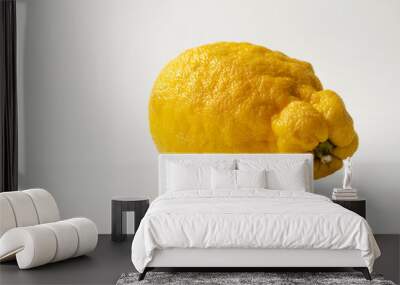 ugly organic fruits - one yellow lemon on the table Wall mural