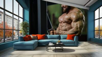 Brutal strong bodybuilder athletic men pumping up muscles with d Wall mural