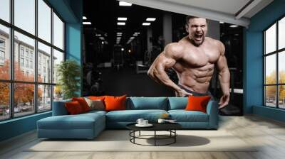 Brutal strong bodybuilder athletic men pumping up muscles with dumbbells. Wall mural