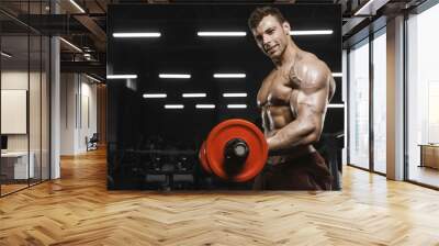 Handsome strong athletic men pumping up muscles workout barbell curl bodybuilding concept background Wall mural