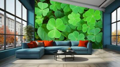 Green background with three-leaved shamrocks. St.Patrick's day holiday symbol. Shallow depth of field, focus on biggest leaf. Wall mural