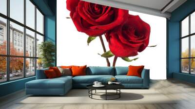 two red roses isolated on white Wall mural