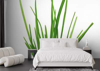 Fresh green grass isolated on white background.	
 Wall mural