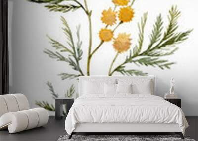 Mimosa yellow spring flowers set, Watercolor hand drawn illustration isolated on white background. Wall mural