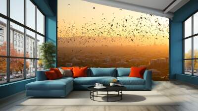 a large flock of birds flying over a city at sunset. Wall mural