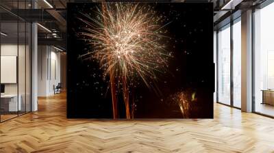 Feuerwerk gold Wall mural