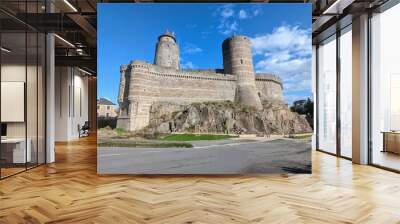 FOUGERES (Ille-et-Vilaine) Wall mural