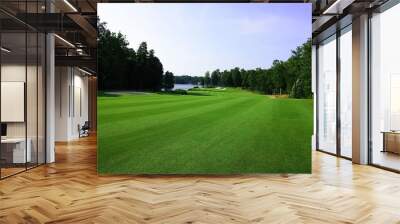 golf course 2 Wall mural