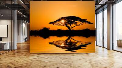 Acacia Tree at Sunrise in Kenya Wall mural