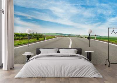 Road turn in countryside Wall mural