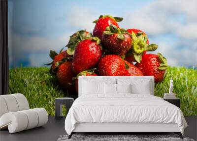 Red strawberries on green grass with blue sky background Wall mural